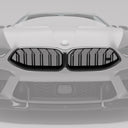 RevoZport BMW F91 / F92 / F93 M8 Street 乾式碳纖維水箱罩