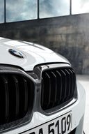 BMW G30 / G31 LCI 單槓 乾碳水箱罩