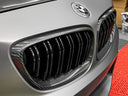 BMW F22 / F87 M2 雙槓 乾碳水箱罩