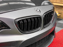 BMW F22 / F87 M2 雙槓 乾碳水箱罩