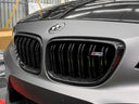 BMW F22 / F87 M2 雙槓 乾碳水箱罩