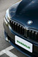 BMW G30 / G31 前期 雙槓 乾碳水箱罩