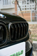 BMW G30 / G31 前期 雙槓 乾碳水箱罩