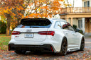 RevoZport AUDI RS6 C8 Avant Street 乾式碳纖維頂翼